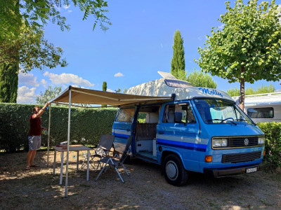 VW T2